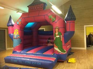 Princess Bouncy Castle for Hire Deal Kent